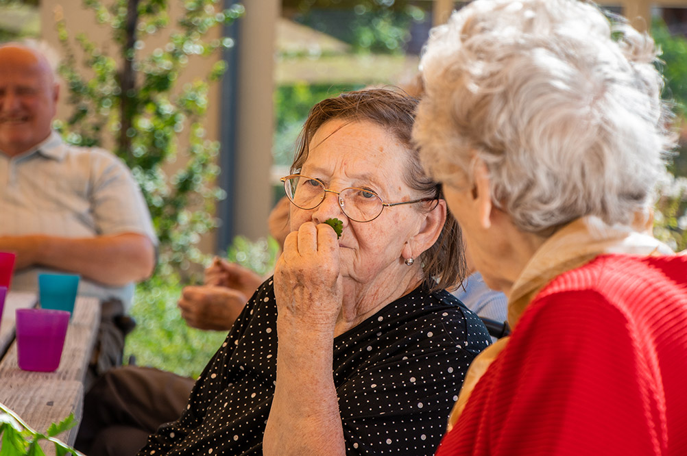 Ettmeier-Tagespflege-4